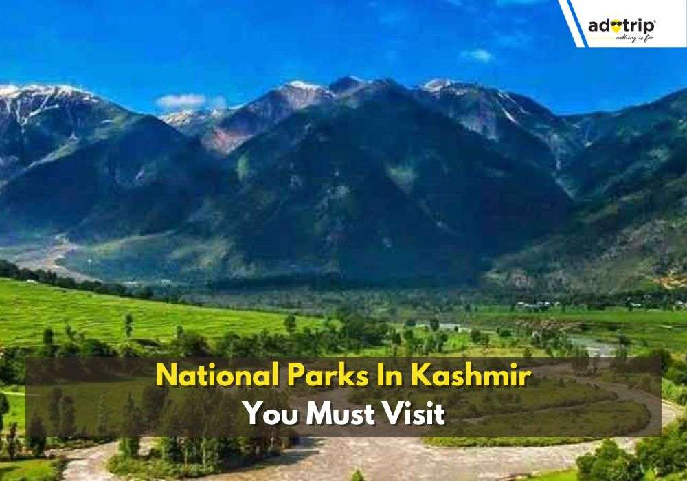 National Parks In Kashmir